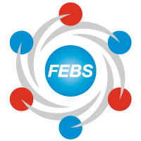 FEBS Advanced Lecture Course 'Redox signaling in the physiopathology of the human body' 2026, jointly delivered with SFRR-Europe logo